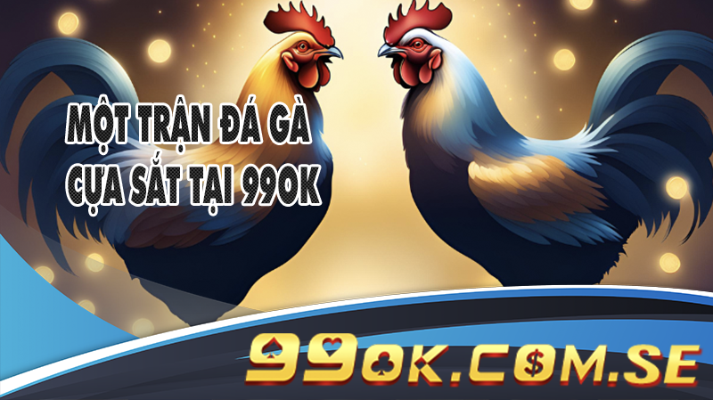 Một trận đá gà cựa sắt tại 99OK với các chiến kê trang bị cựa sắc nhọn, sẵn sàng cho cuộc đấu.